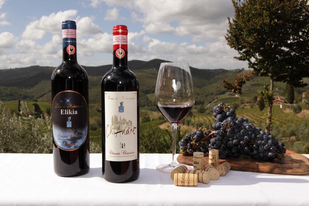 Terre Di Melazzano - Le Case Di Chiara Greve in Chianti Exterior foto