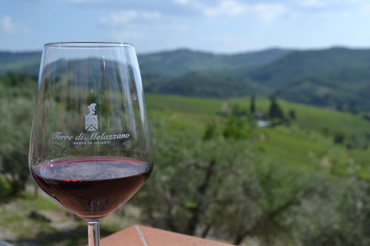 Terre Di Melazzano - Le Case Di Chiara Greve in Chianti Exterior foto